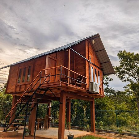 Lion Wood Treehouse Villa Talkote Kültér fotó