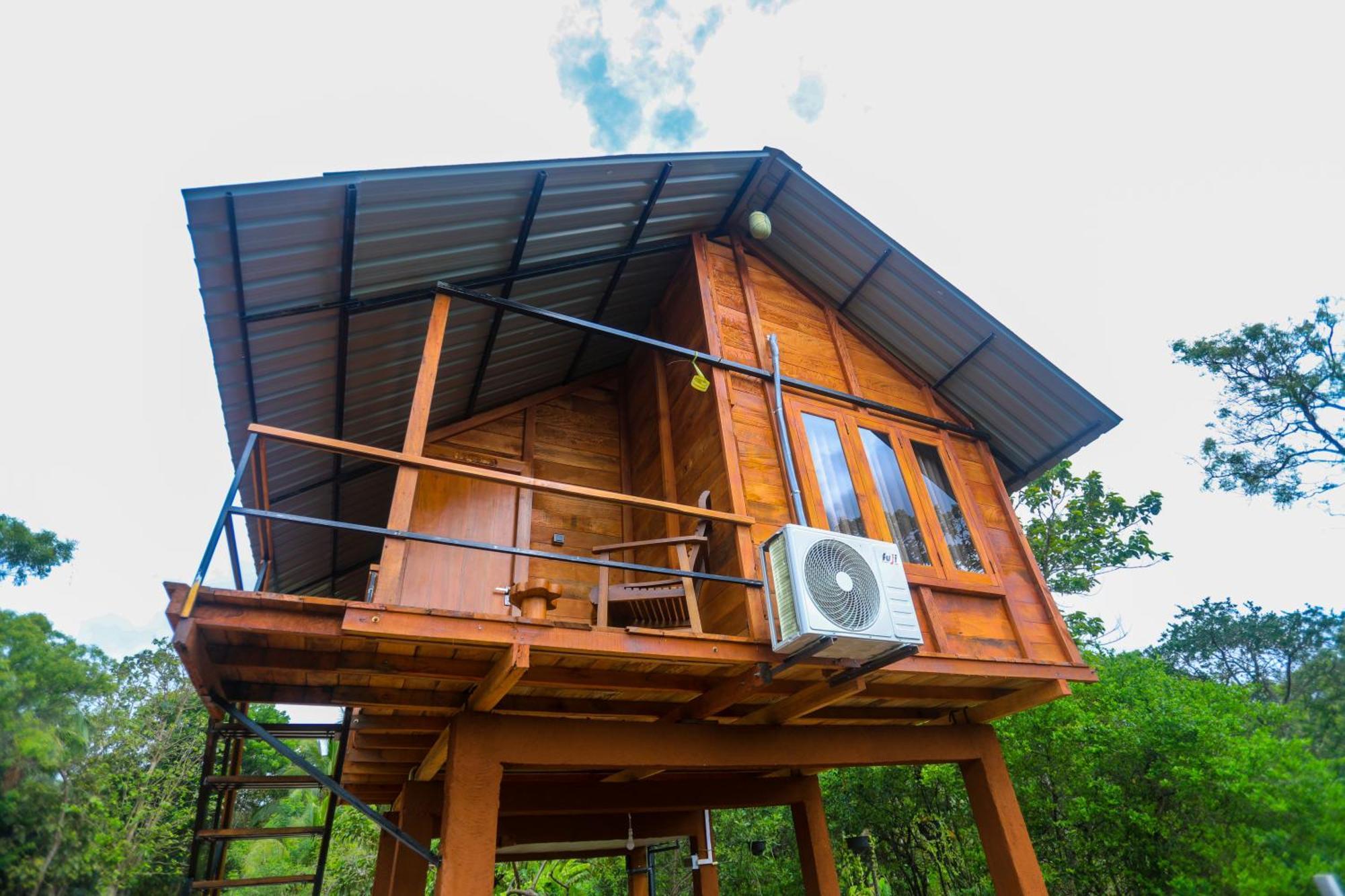 Lion Wood Treehouse Villa Talkote Kültér fotó
