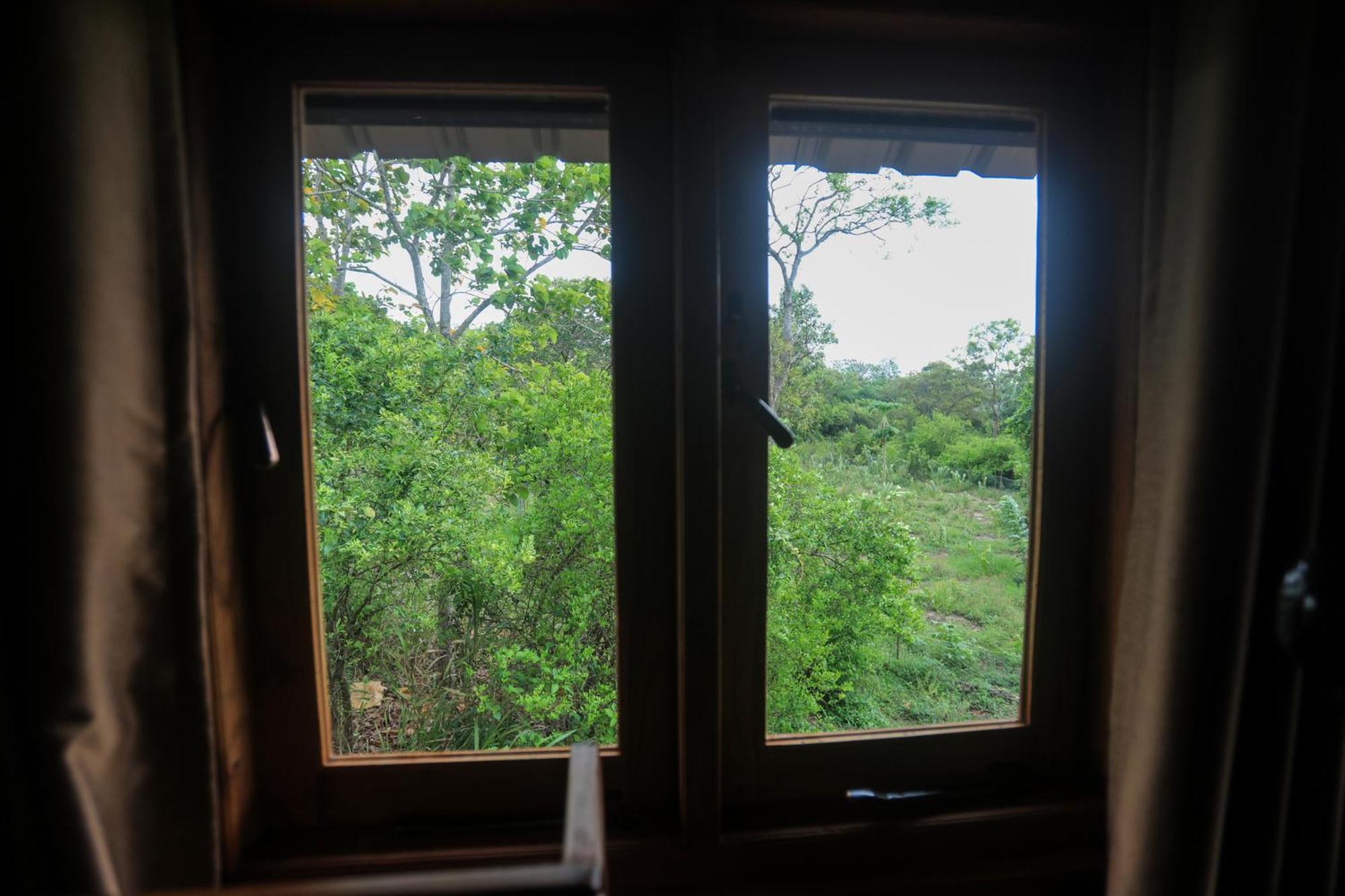 Lion Wood Treehouse Villa Talkote Kültér fotó