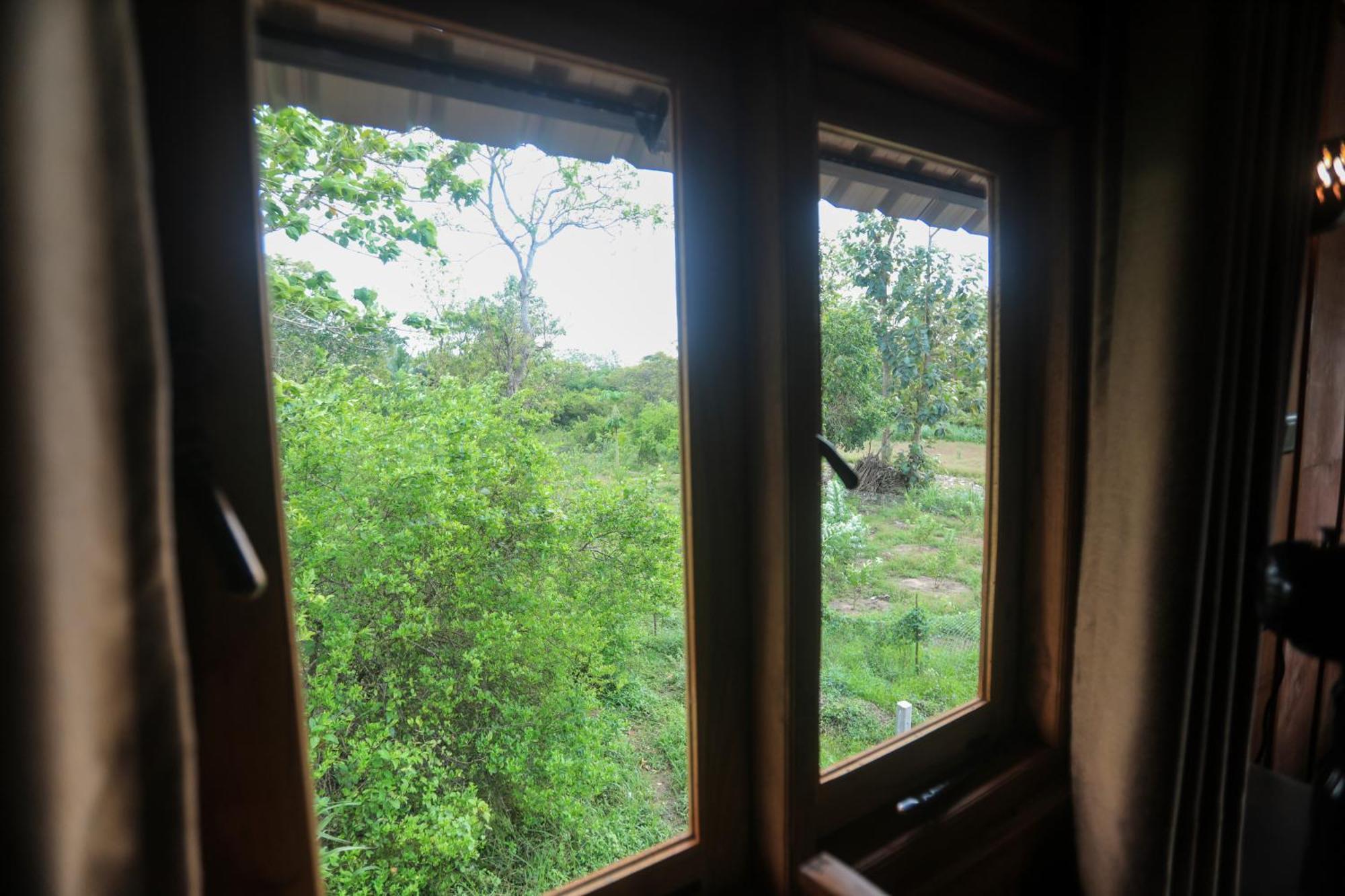 Lion Wood Treehouse Villa Talkote Kültér fotó