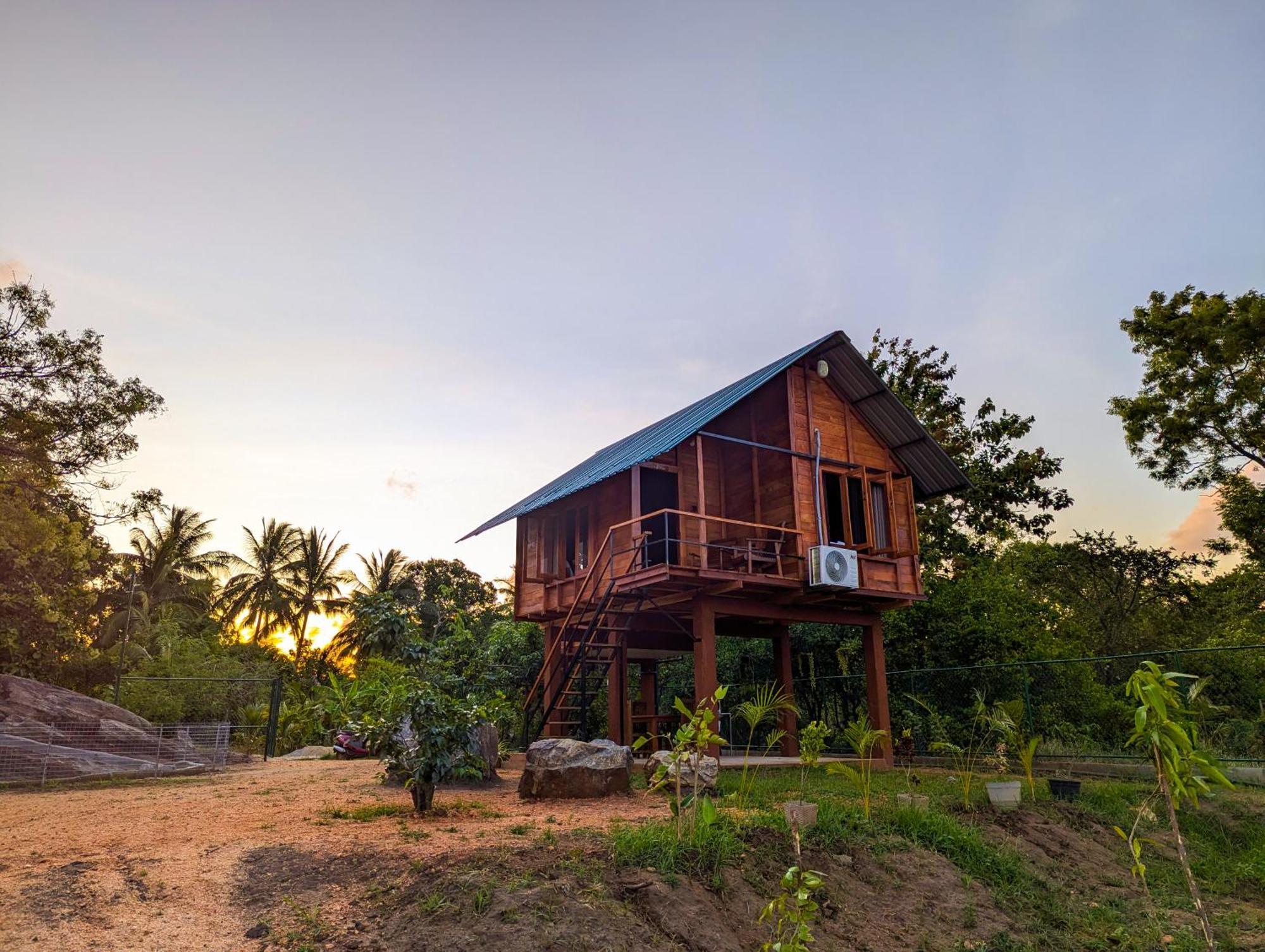 Lion Wood Treehouse Villa Talkote Kültér fotó