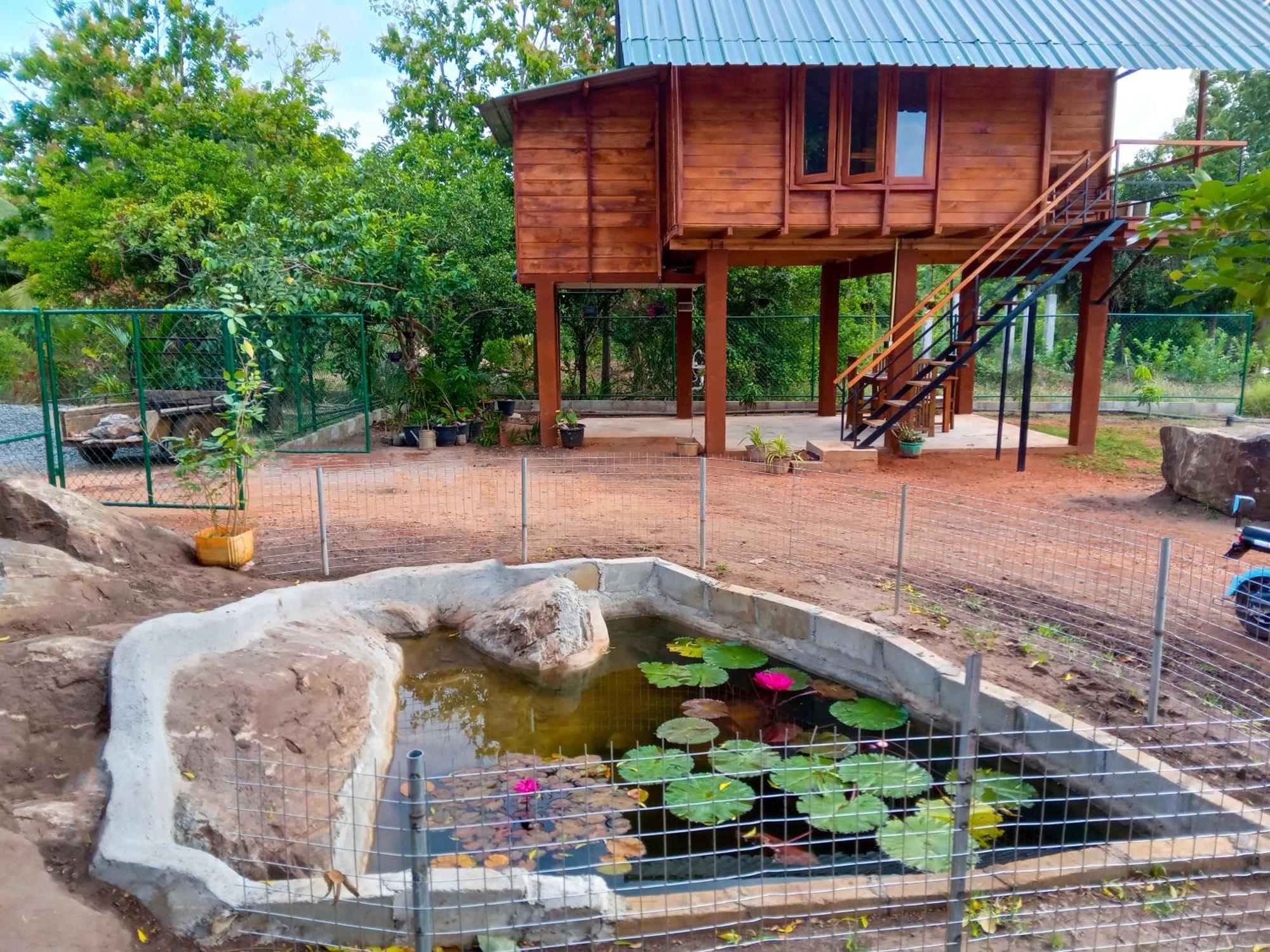 Lion Wood Treehouse Villa Talkote Kültér fotó